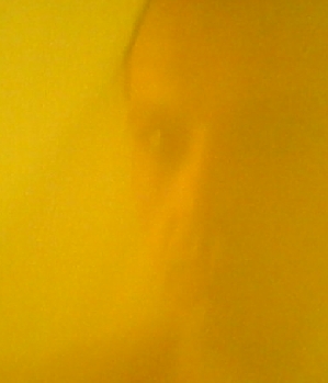 Zum Profil von Costa69