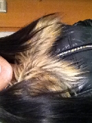 Guliana1993 Karlsruhe