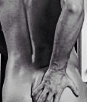 Sex Inserat von: HerrderZunge