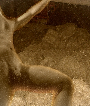 Sex Inserat von: Hesse91