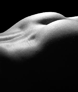Zum Profil von Sloan79