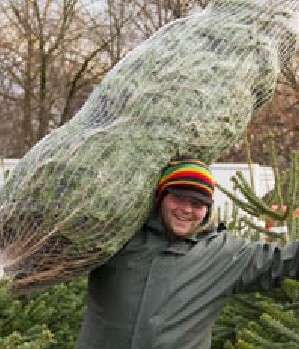 Zum Profil von Tangoman