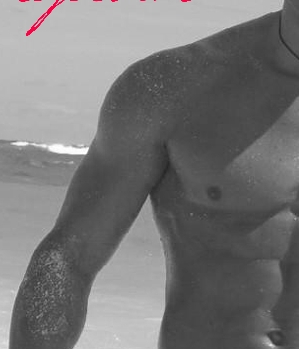 Zum Profil von Tigerblut