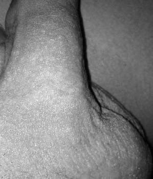 Sex Inserat von: UltimateXX