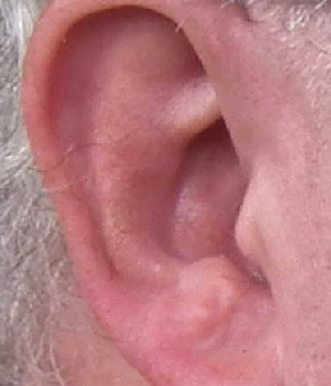 Zum Profil von bofi58