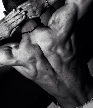 Zum Profil von borstel