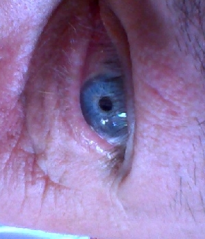 Zum Profil von dergrossegraue