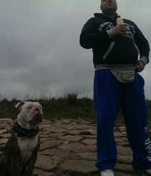 Zum Profil von dynamo88