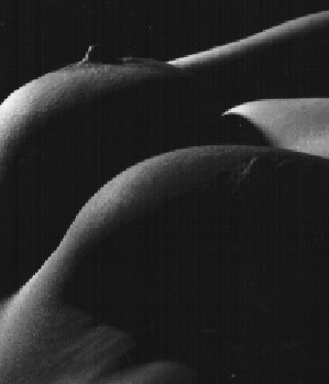 Profil von engelchen0812 - Sex Kontakt in Kiel