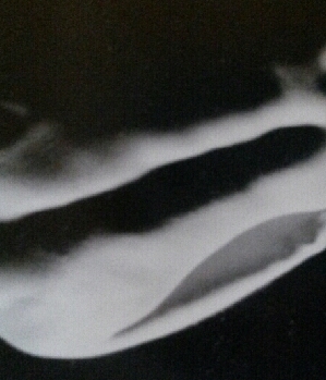 Sex Inserat von: frechundgeil