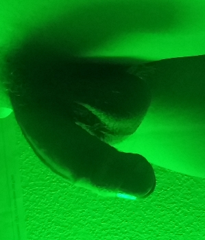 Sex Inserat von: geilerhengst27