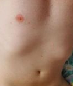 Zum Profil von iceman_475