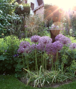 Zum Profil von jackinho