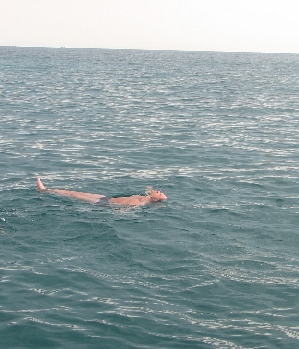 kleinAlf