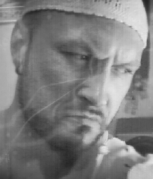 Zum Profil von maikl66