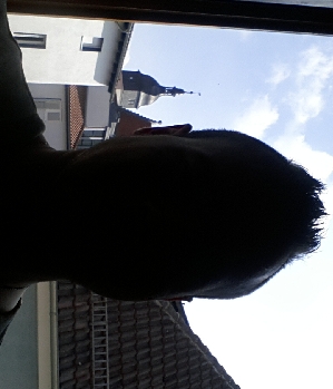 Zum Profil von schlecker86