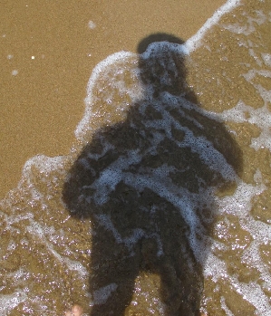 Zum Profil von scoville