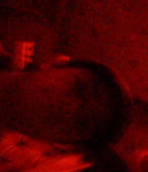 Zum Profil von suchsexfee