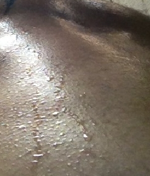 Sex Inserat von: sundown1981