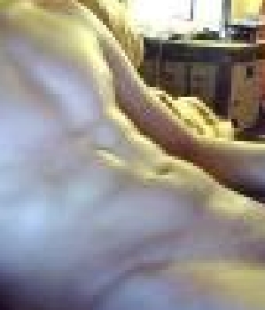 Sex Inserat von: younbo