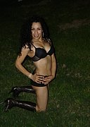 gitcheck Lutherstadt Wittenberg