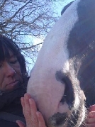 nicijoon Landau in der Pfalz