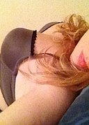 wildekatz Germersheim