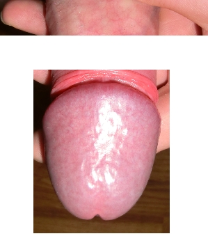 Sex Inserat von: AalglattXXX