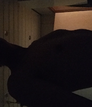 Sex Inserat von: Kazumm