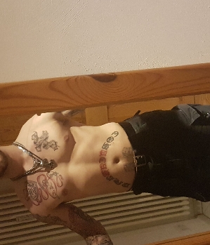 Zum Profil von Metalgear