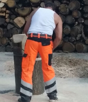 Zum Profil von Timbersports