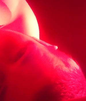 Sex Inserat von: blackrass8