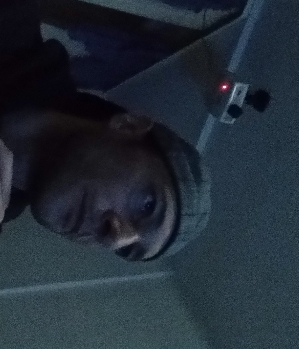 Zum Profil von hhlovelicker