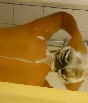 Zum Profil von lebedasleben73