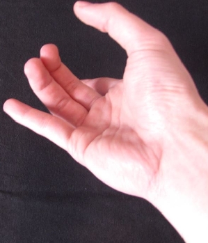 Zum Profil von perlentaucher89