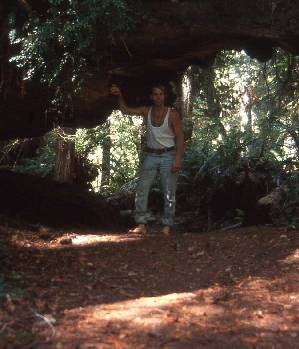 Zum Profil von wolve69