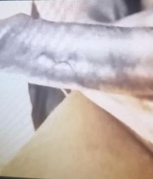 Sex Inserat von: Alexpo91