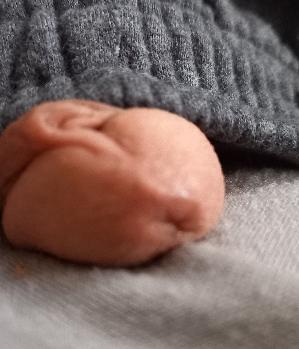 Sex Inserat von: Busenfreund707