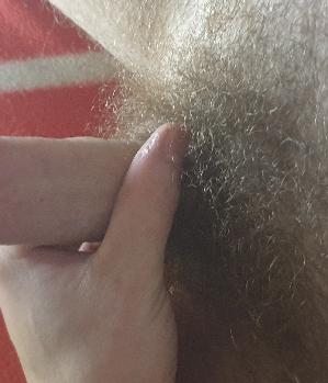 Sex Inserat von: Chadli92