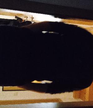 Zum Profil von Dahost