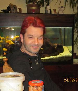 Zum Profil von Dante2611