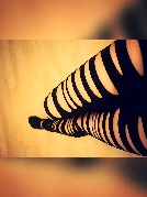 DieNeue33 Lutherstadt Wittenberg