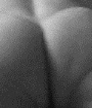 Sex Inserat von: Diegolein