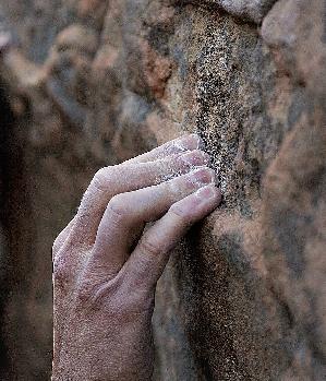 Zum Profil von Dyonisos