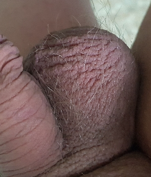 Sex Inserat von: Erfordia