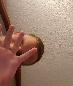 Zum Profil von Febbel92