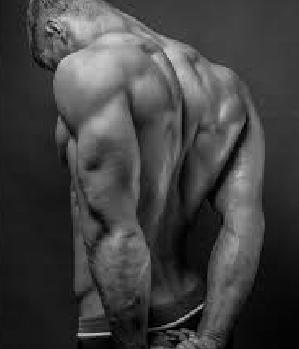 Zum Profil von Giorgio89