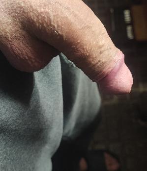 Sex Inserat von: HarterSchwanz18cm