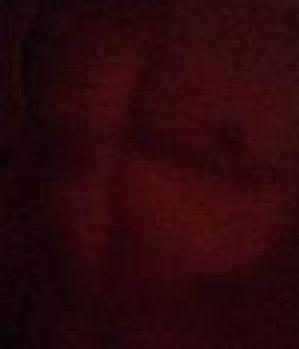 Sex Inserat von: JohnnyNoCash