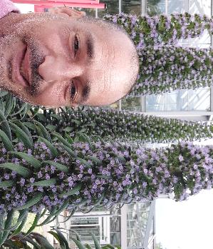 Lebedeinlebenmitleidenschaft